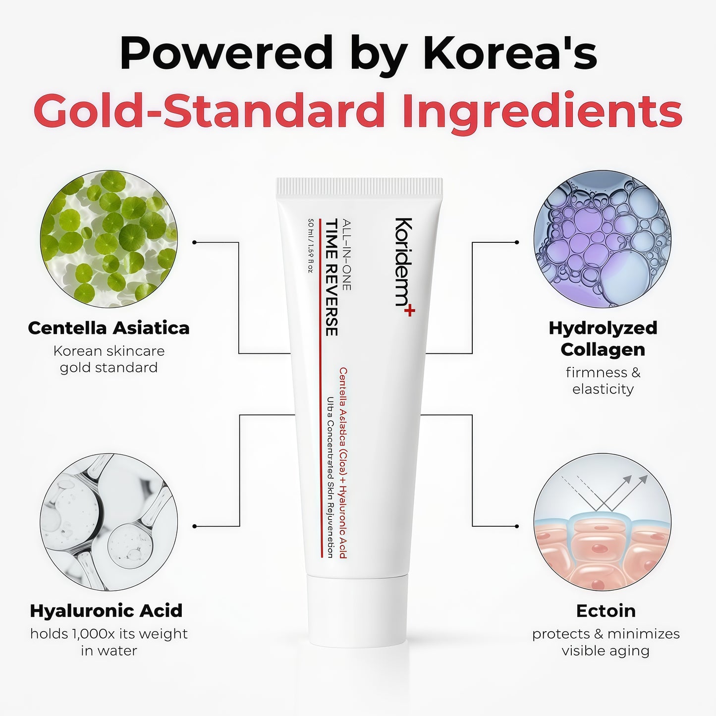 Time Reverse Cream, Korean Skin Care Face Moisturizer, 1.69 Fl Oz